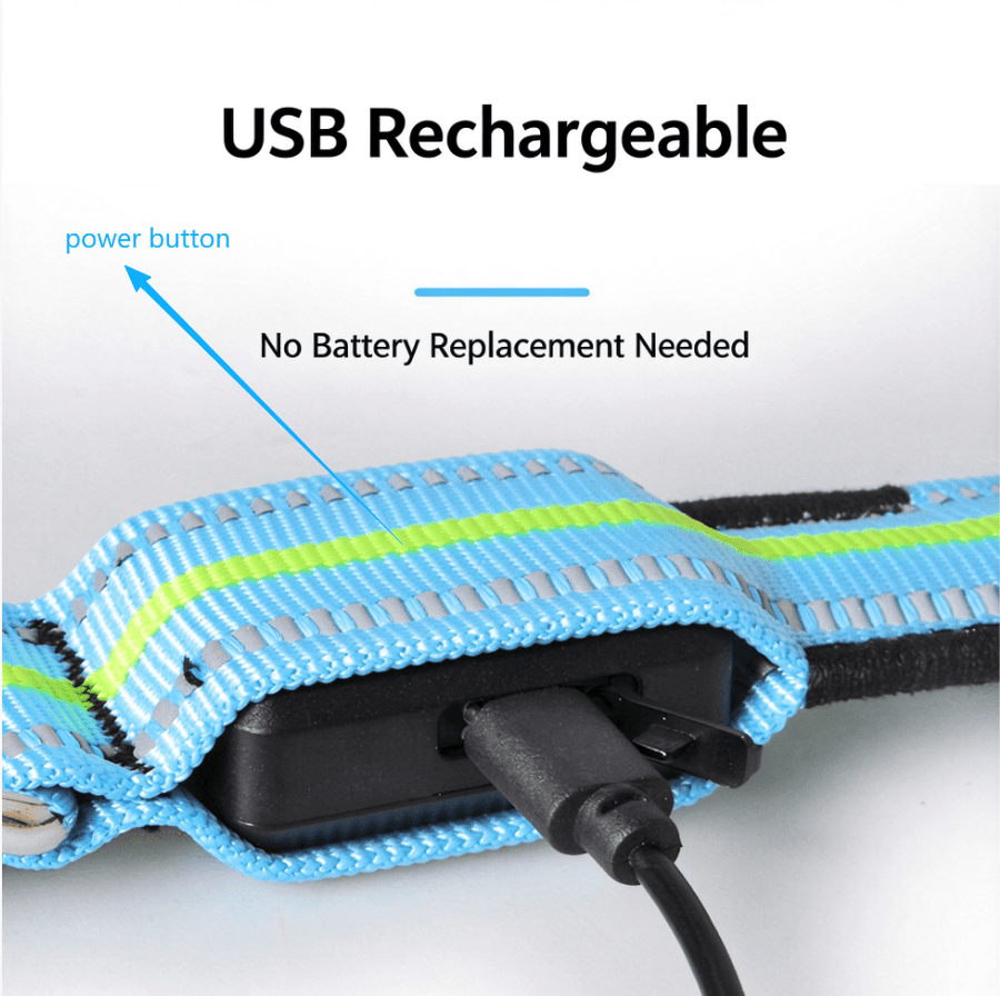 USB Rechargeable LED Dog Collar, Light Up Night Safety Collar – Fluffy Me