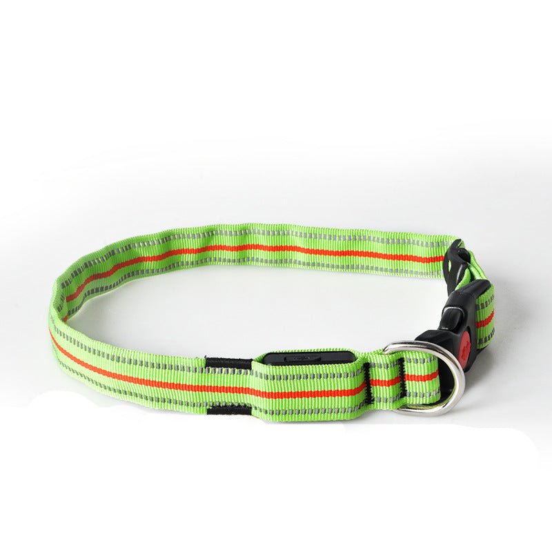 USB Rechargeable LED Dog Collar, Light Up Night Safety Collar – Fluffy Me
