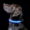 USB Rechargeable LED Dog Collar, Light Up Night Safety Collar – Fluffy Me