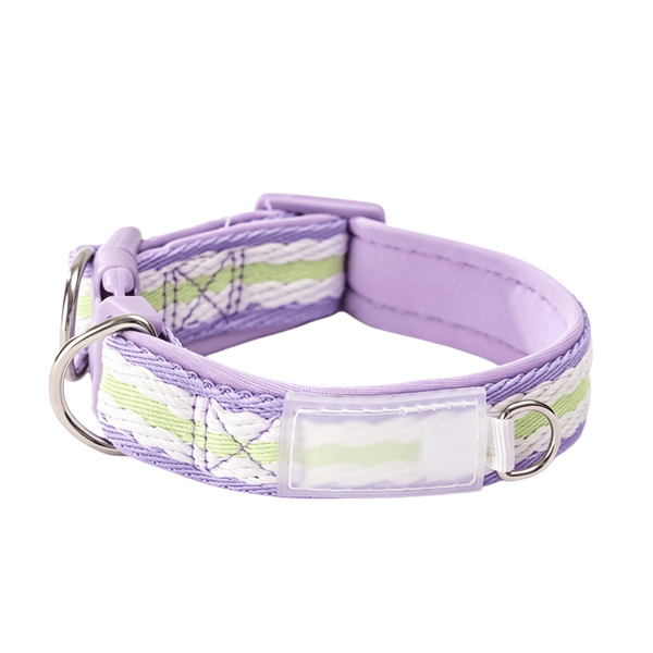 Macaron Color Cat Collar — Adjustable, Lightweight, For Cats & Small Dogs