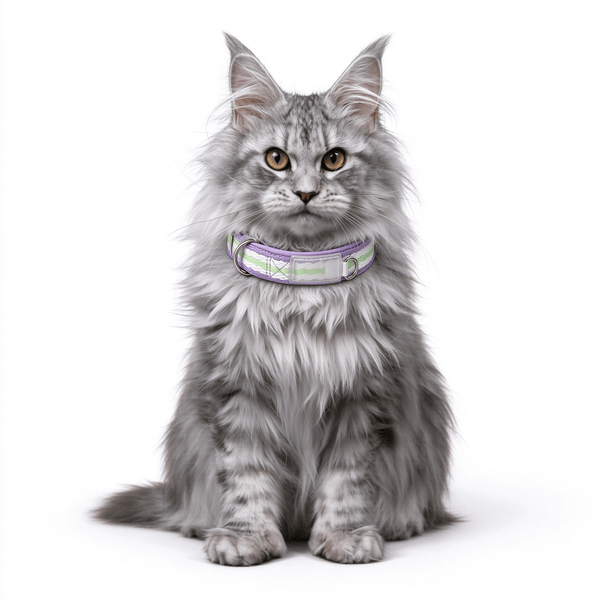Macaron Color Cat Collar — Adjustable, Lightweight, For Cats & Small Dogs