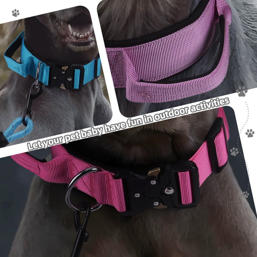 Rose Red & Sky Blue Dog Collar and Leash Set - Neoprene, 130cm with Foam Grip
