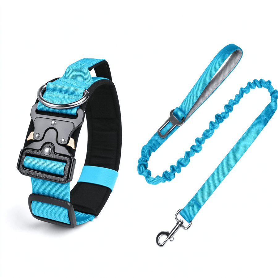 Rose Red & Sky Blue Dog Collar and Leash Set - Neoprene, 130cm with Foam Grip