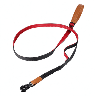 3-in-1 Reflective Bungee Dog Leash, 180 cm