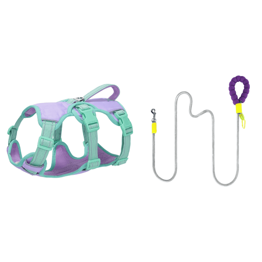 No Pull Dog Harness and Leash Set with Front D-Ring and Lift Handle