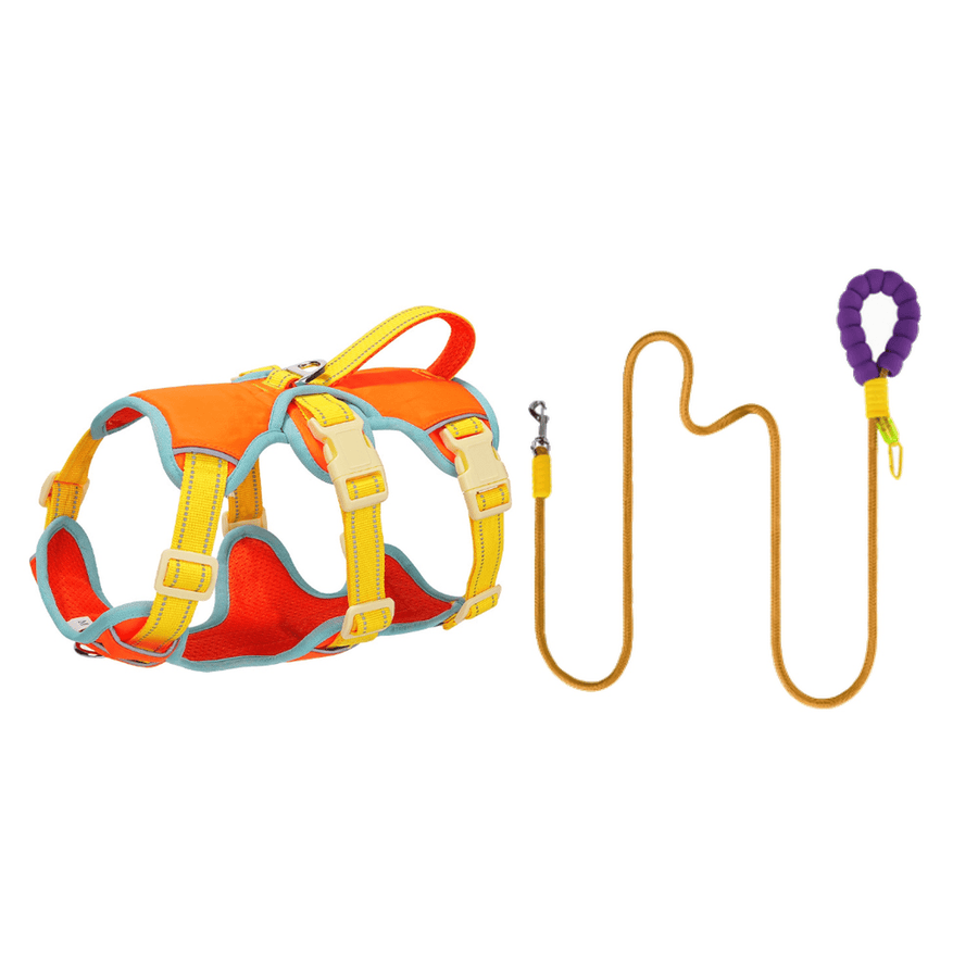 No Pull Dog Harness and Leash Set with Front D-Ring and Lift Handle