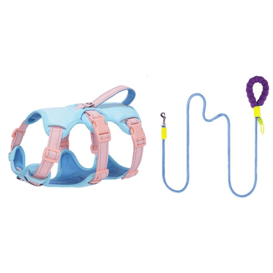 No Pull Dog Harness and Leash Set with Front D-Ring and Lift Handle