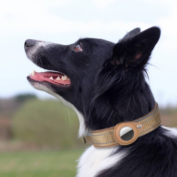 Smart Pet GPS Tracker Collar Set with Case - Anti-Loss Locator & Tracking