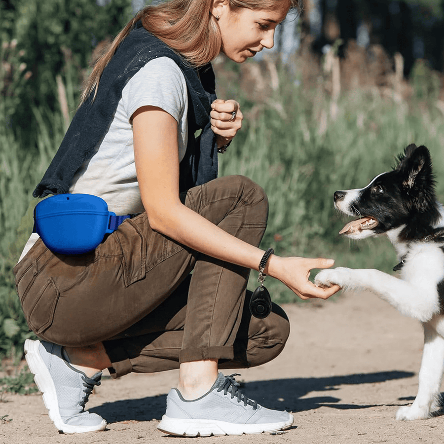 Pet Silicone Waist Bag for Treats & Poop - Adjustable Belt, Rinse Clean, 4 Colors