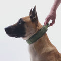 Rivet Military Dog Collar - Quick-Release Buckle, Cool Cotton, Multiple Sizes & Colors