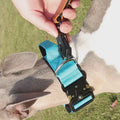 3-in-1 Multifunctional Dog Leash with Bungee & Reflective Design - 180cm
