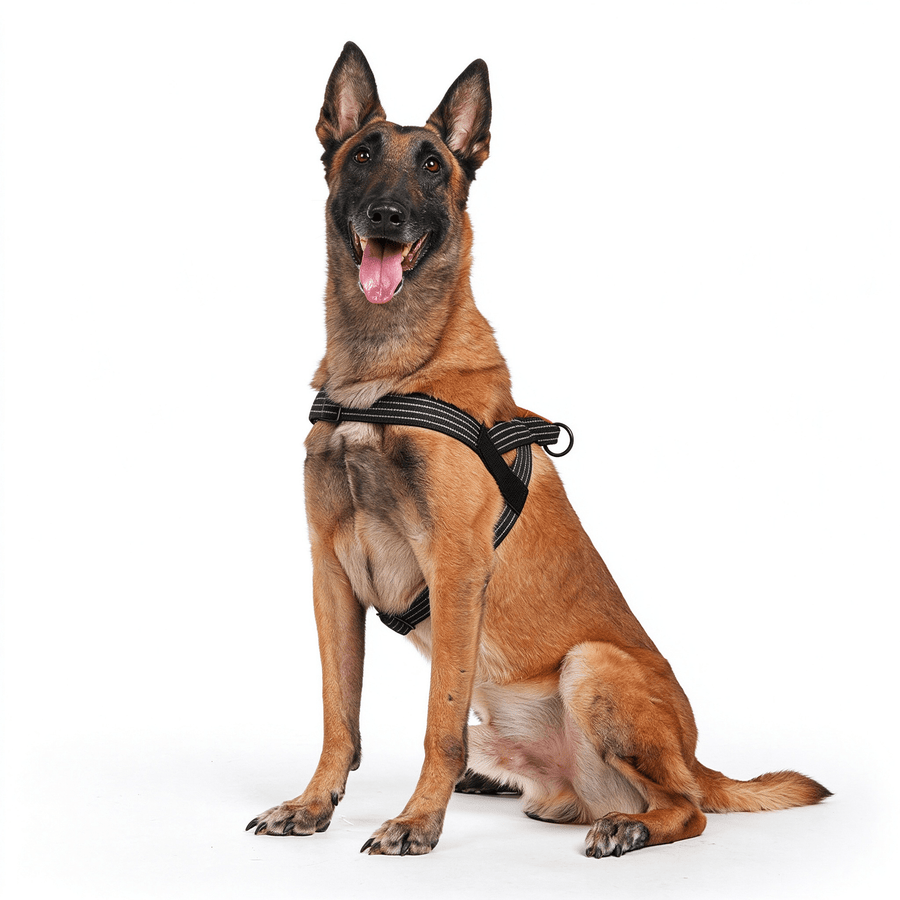 Reflective Milk Silk Dog Harness & Leash Set, Soft Lining, M-XL, 3 Colors