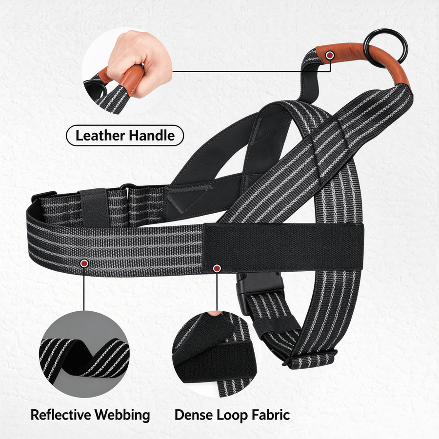 Reflective Milk Silk Dog Harness & Leash Set, Soft Lining, M-XL, 3 Colors