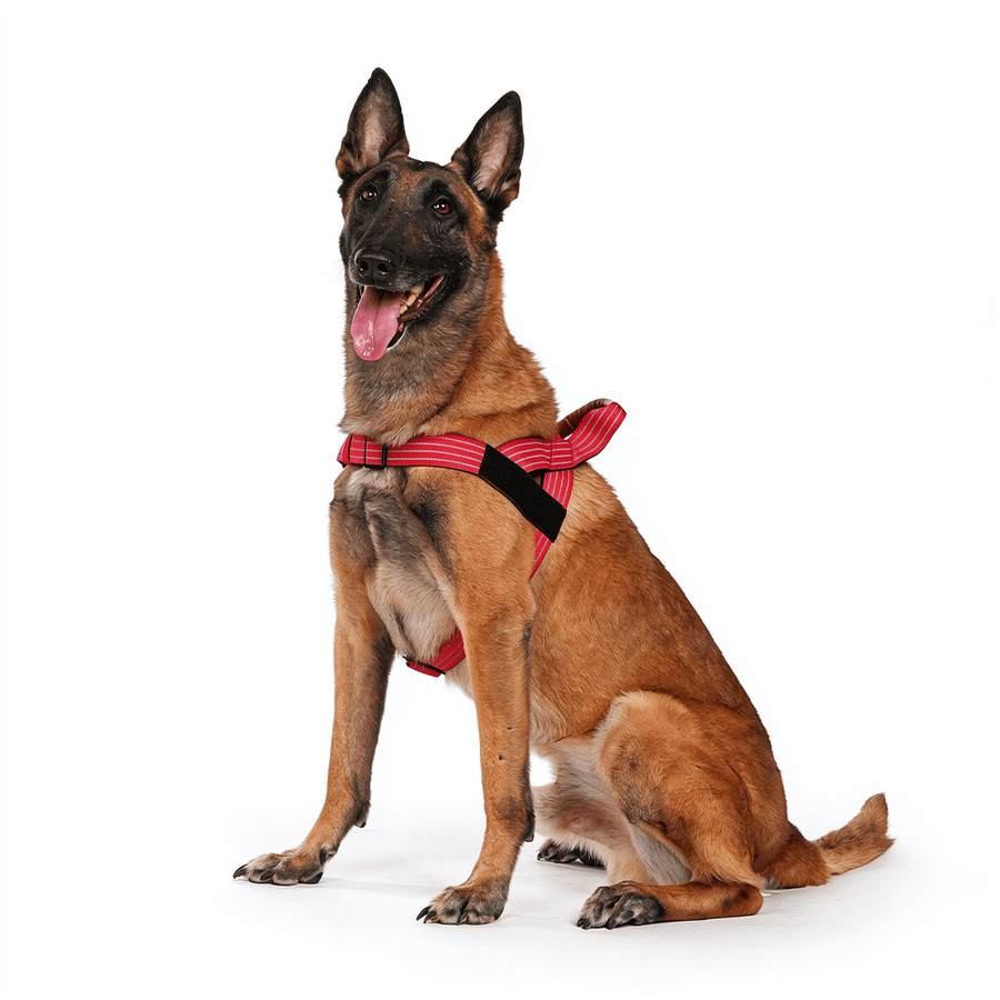 Reflective Milk Silk Dog Harness & Leash Set, Soft Lining, M-XL, 3 Colors