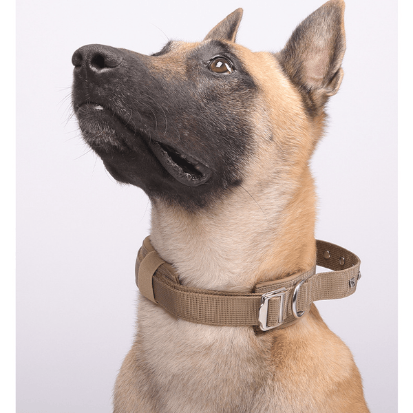 Rivet Military Dog Collar - Quick-Release Buckle, Cool Cotton, Multiple Sizes & Colors