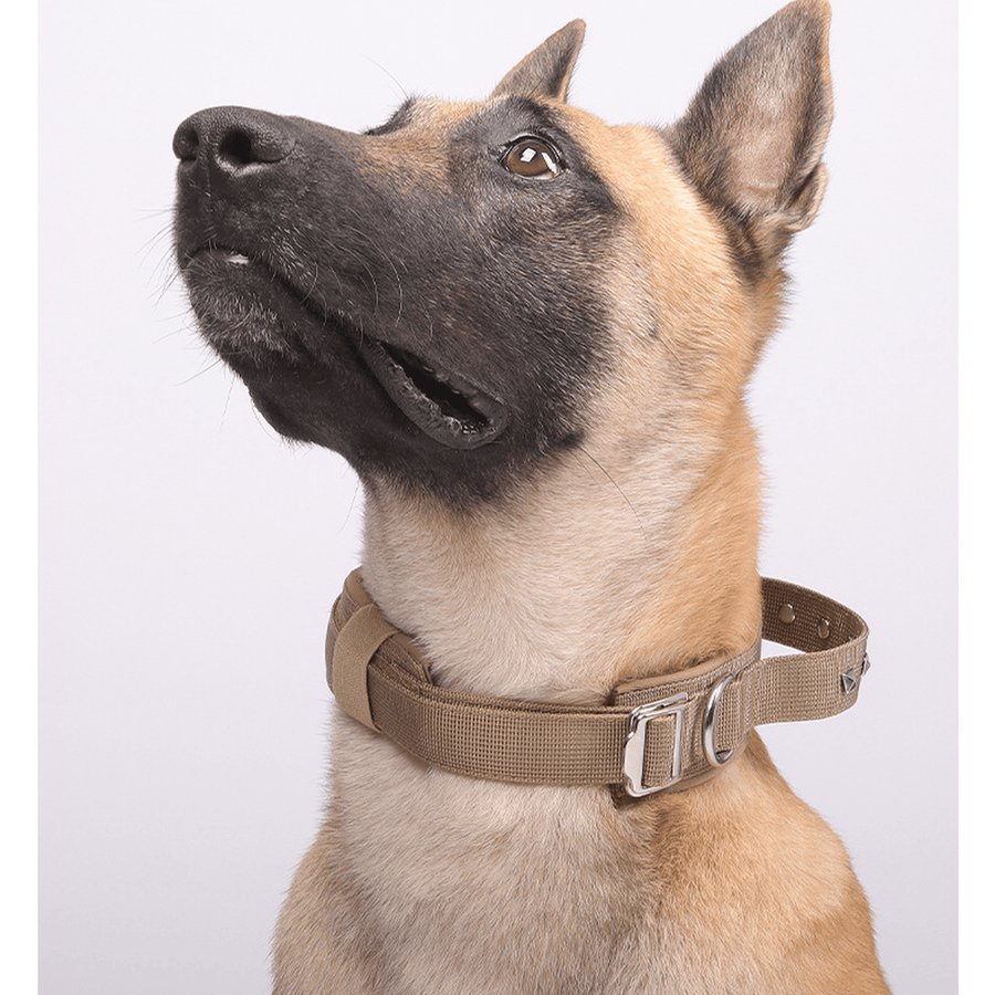 Rivet Military Dog Collar - Quick-Release Buckle, Cool Cotton, Multiple Sizes & Colors