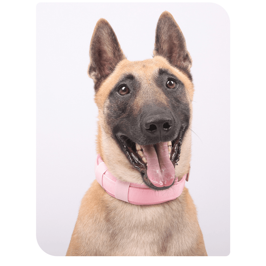 Rivet Military Dog Collar - Quick-Release Buckle, Cool Cotton, Multiple Sizes & Colors