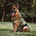 Tactical No-Pull Dog Harness, Adjustable MOLLE Vest for Medium & Large Dogs
