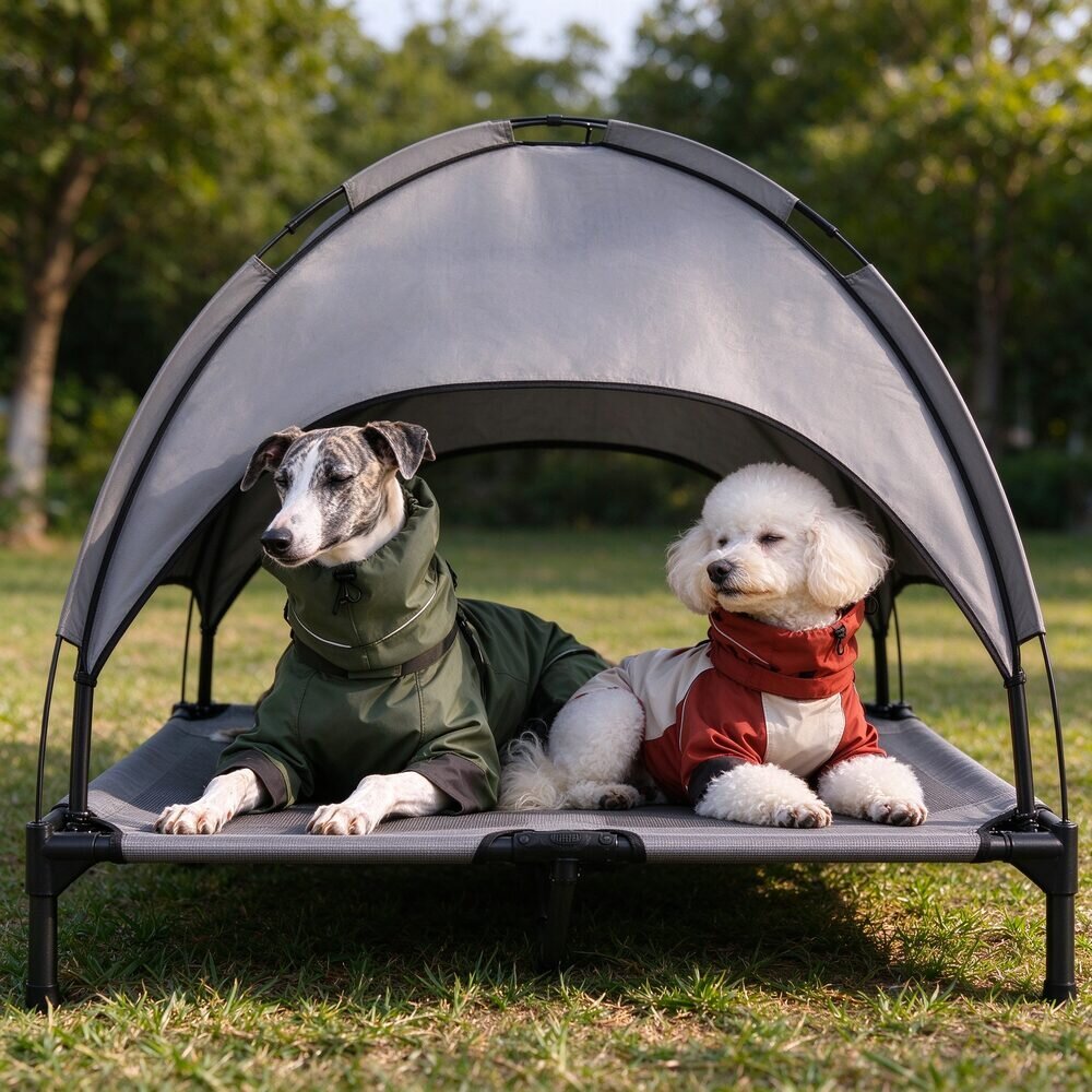 Happy dog camping with Fluffy Me
